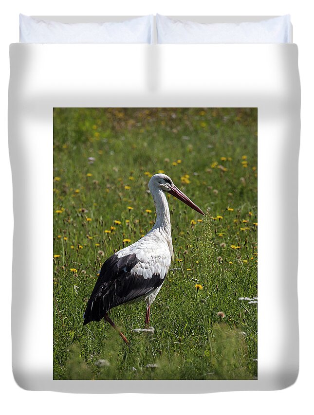 Stork Duvet Cover featuring the photograph White Stork by Claudio Maioli