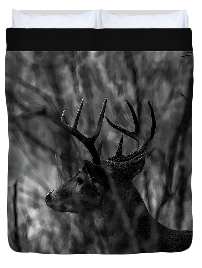 Debra Martz Duvet Cover featuring the photograph White Tail Buck - Black and White by Debra Martz
