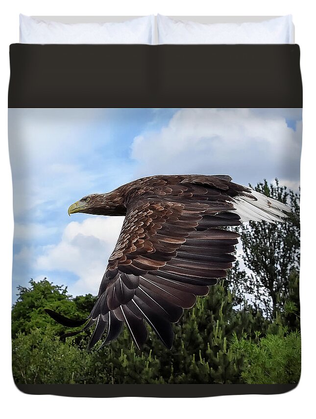 Sea Eagle Duvet Cover featuring the photograph White Tailed Eagle by Kuni Photography