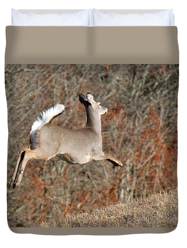 Deer Duvet Cover featuring the photograph White-tailed Take Off by Alan Lenk
