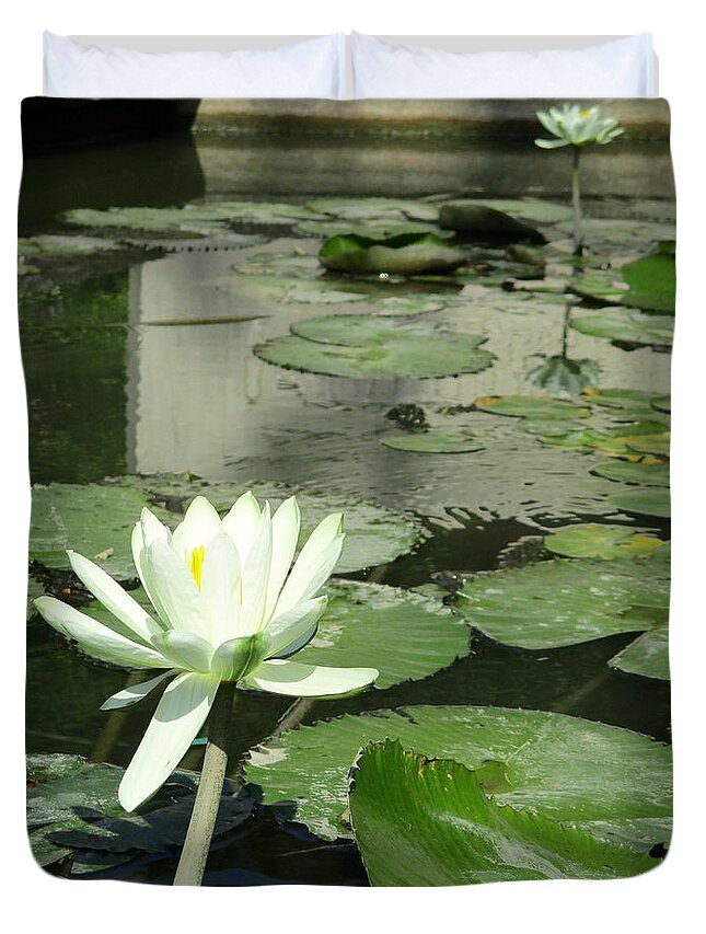 White Water Lilly Duvet Cover featuring the photograph White Water Lily 3 by Randall Weidner