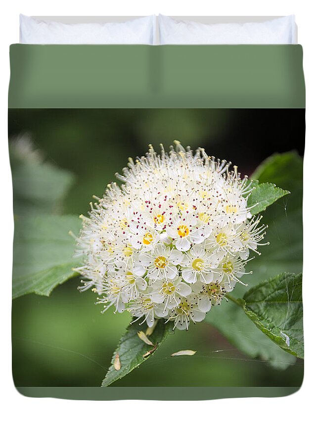 Wild Duvet Cover featuring the photograph White Wild Flower by Timothy Ruf