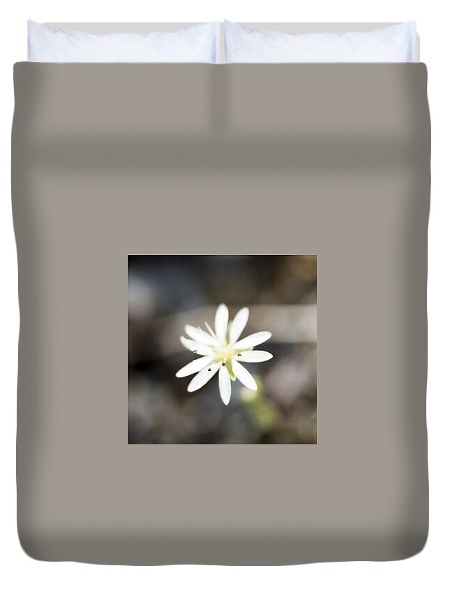 Alaska Duvet Cover featuring the photograph White Wildflower by Ian Johnson