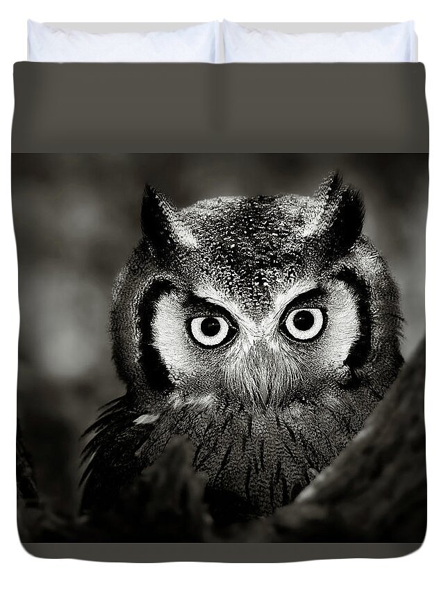 Africa Duvet Cover featuring the photograph Whitefaced Owl by Johan Swanepoel