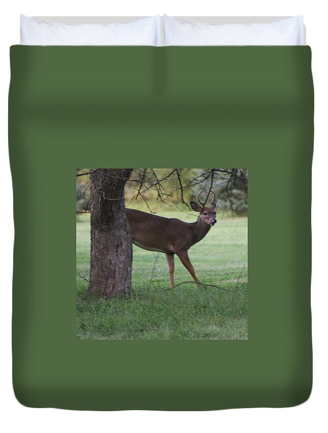  Duvet Cover featuring the photograph Whitetail Buck by Robert Carey