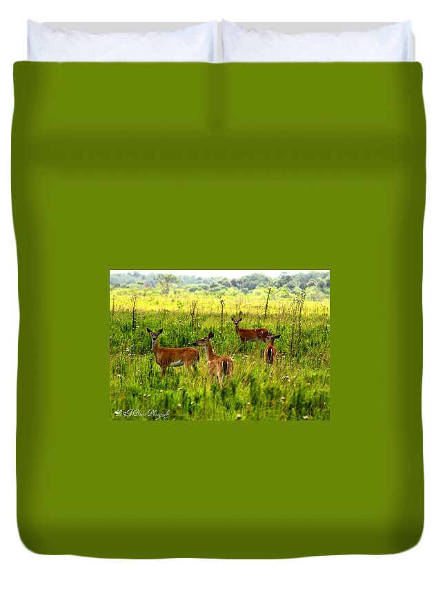 Whitetail Deer Duvet Cover featuring the photograph Whitetail Deer Family by Barbara Bowen