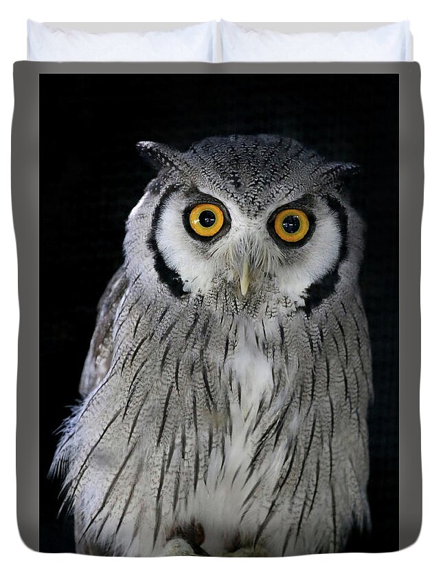 Owl Duvet Cover featuring the photograph Who 'Dat? by Steve Parr
