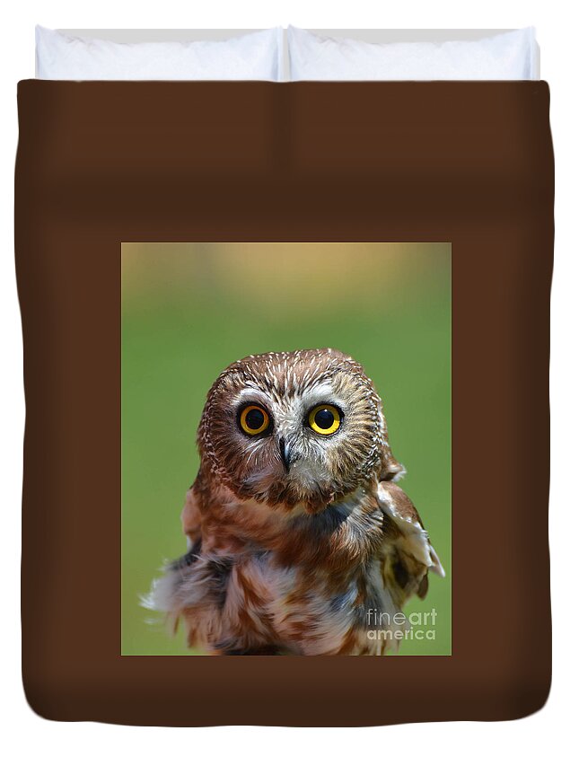 Owl Duvet Cover featuring the photograph Who Me by Amy Porter