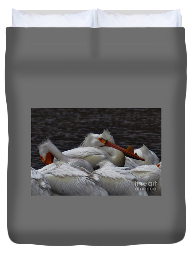 Weird Elegance Of Pelicans Duvet Cover For Sale By Laura Birr Brown