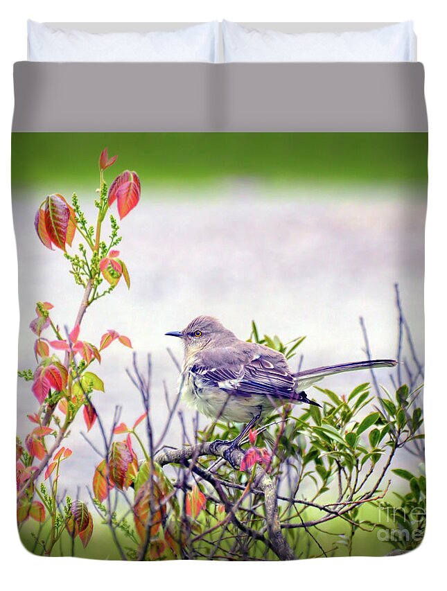 Northern Mockingbird Duvet Cover featuring the photograph Wild Birds - Northern Mockingbird by Kerri Farley