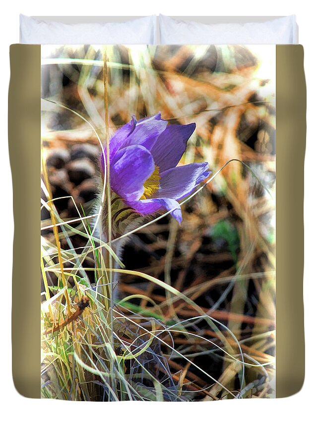Pasque Flower Duvet Cover featuring the photograph Wild Crocus by Jim Garrison