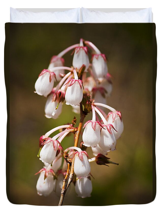 White Duvet Cover featuring the photograph Wild Flowers by Bob Decker