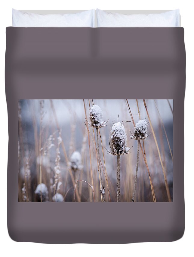 Winterpacht Duvet Cover featuring the photograph Wild Forests by Miguel Winterpacht