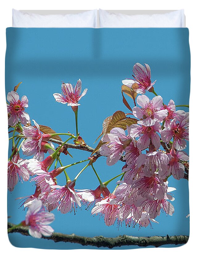 Nature Duvet Cover featuring the photograph Wild Himalayan Cherry DTHN0220 by Gerry Gantt