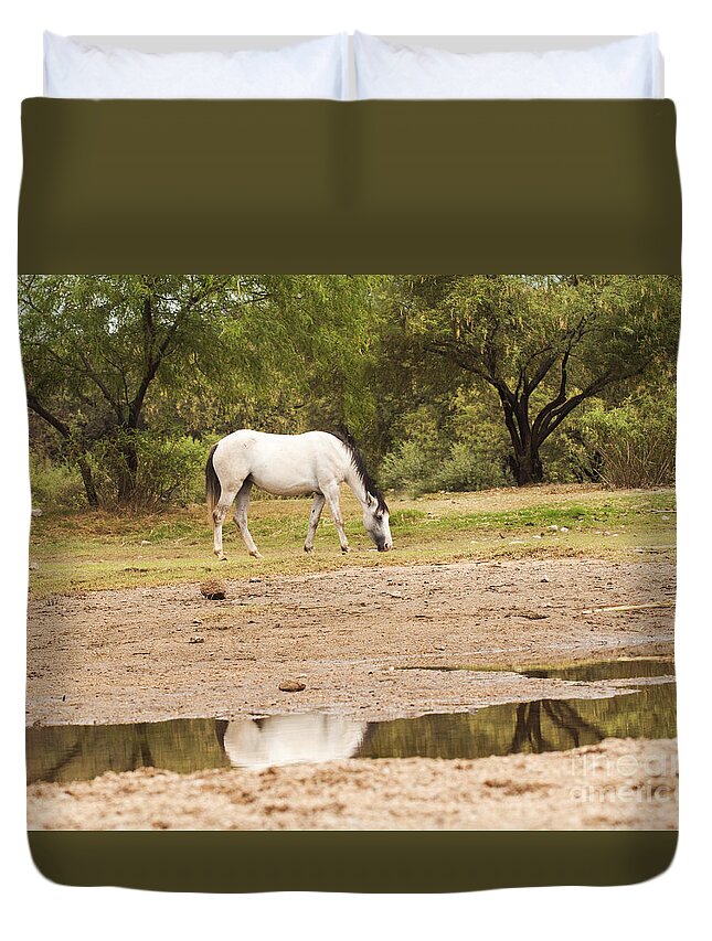 Salt River Wild Horse Duvet Cover featuring the photograph Wild Horse Reflections by Ruth Jolly
