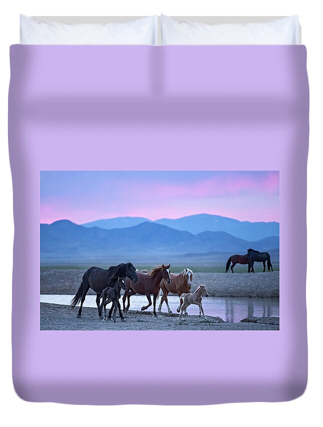 Wild Horse Duvet Cover featuring the photograph Wild Horse Sunrise by Wesley Aston