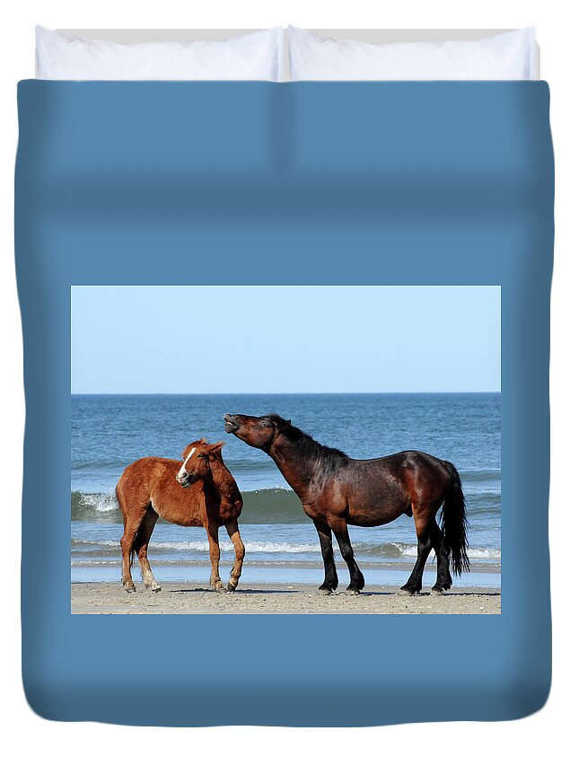 Wild Duvet Cover featuring the photograph Wild Horses on Beach by Ted Keller