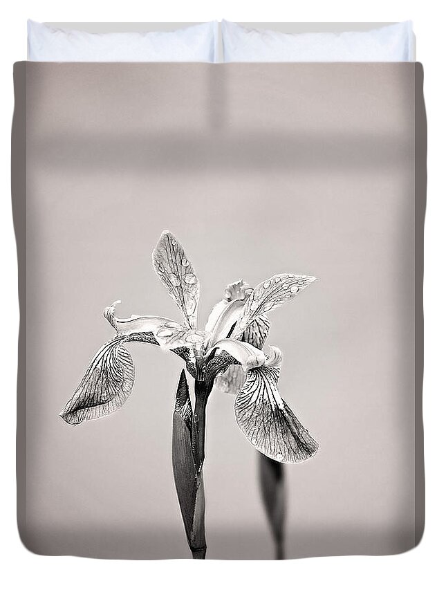 Wild Iris Photo Duvet Cover featuring the photograph Wild Iris Black and White Print by Gwen Gibson
