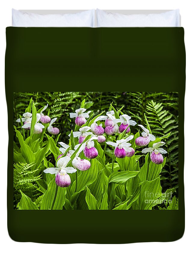 Lady Duvet Cover featuring the photograph Wild Lady Slipper Flowers by Edward Fielding