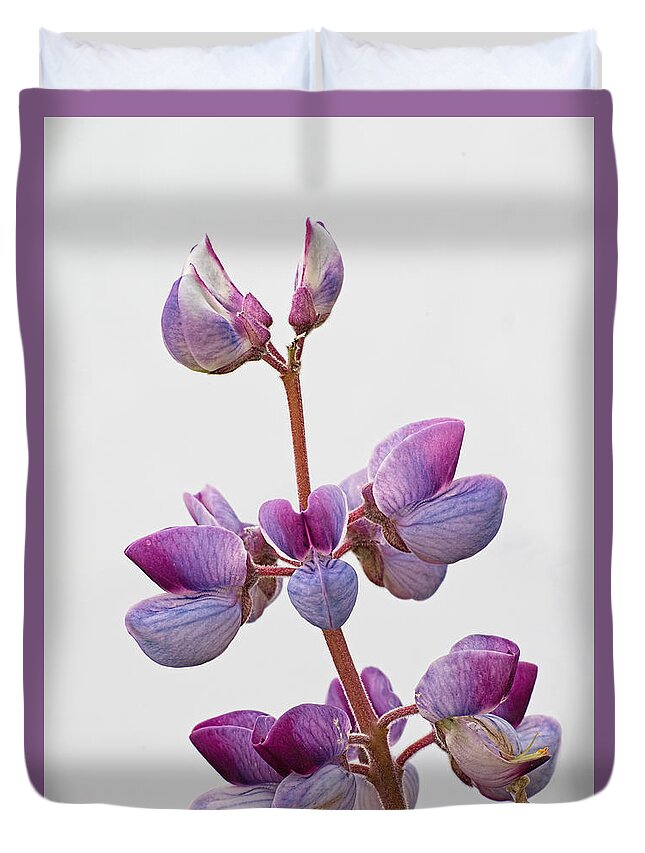 Lupine Duvet Cover featuring the photograph Wild Lupine by Jim Zablotny