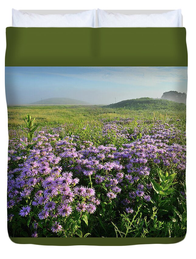 Black Eyed Susan Duvet Cover featuring the photograph Wild Mints Galore in Glacial Park by Ray Mathis