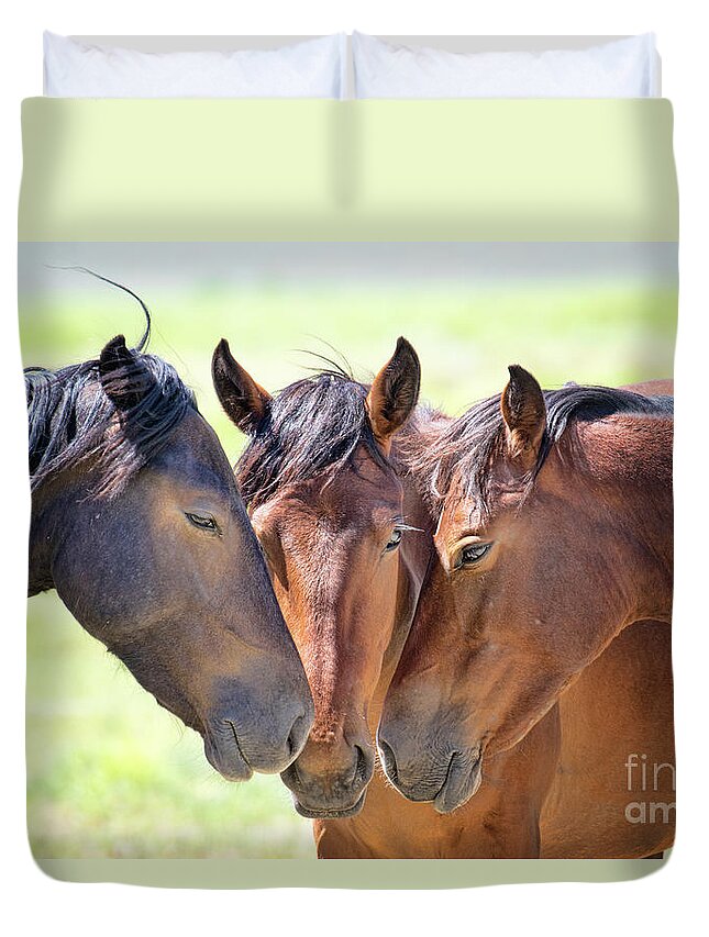 Eastern Sierra Duvet Cover featuring the photograph Wild Mustang Family by Mimi Ditchie
