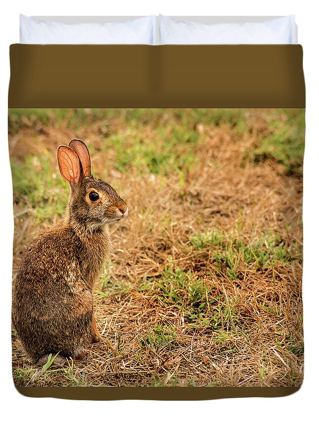 Animal Duvet Cover featuring the photograph Wild Rabbit by Don Johnson