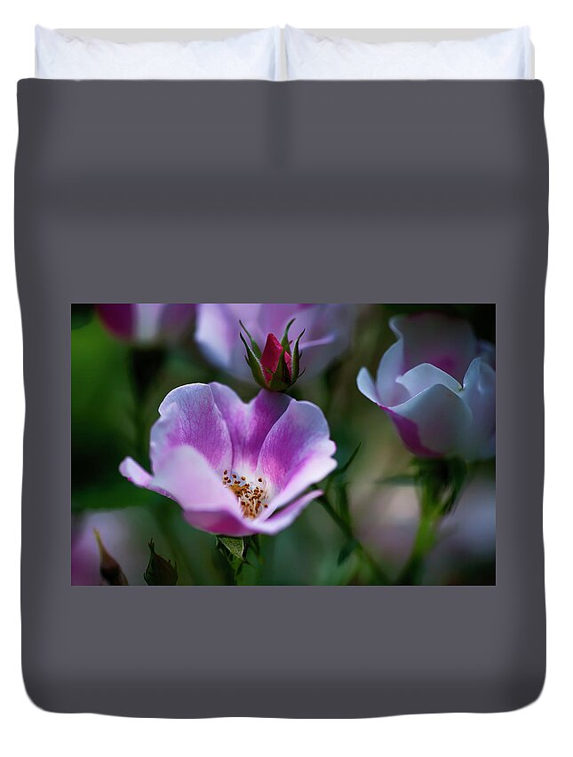  Duvet Cover featuring the photograph Wild Rose 7 by Dan Hefle