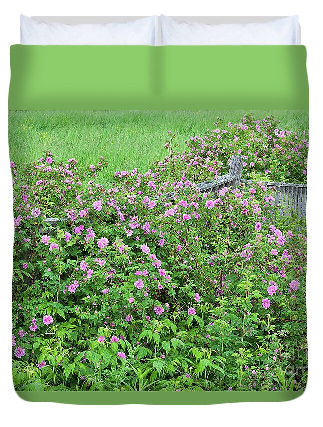 Rose Duvet Cover featuring the photograph Wild Roses by Alan L Graham