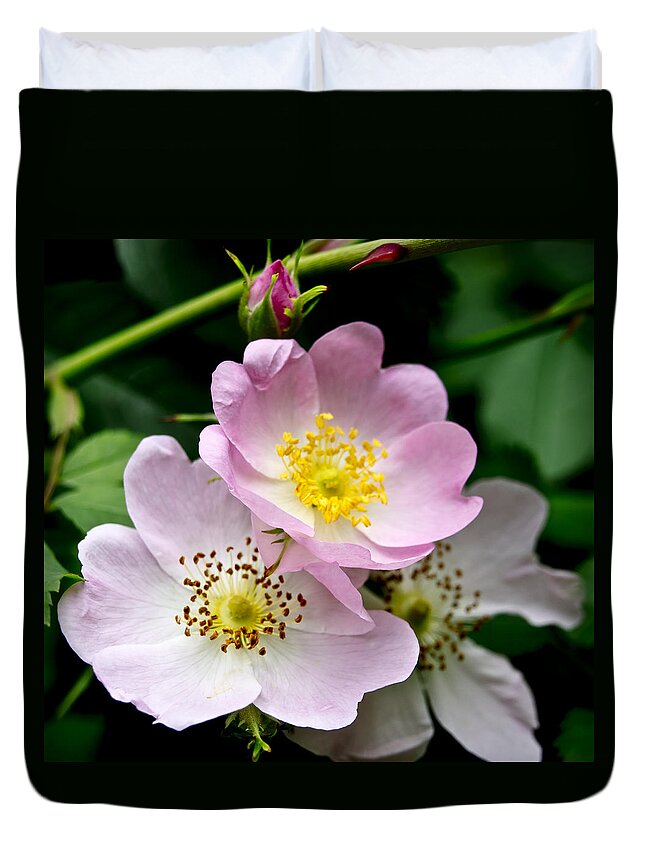 Garden Duvet Cover featuring the photograph Wild Roses. Awakening. by Elena Perelman