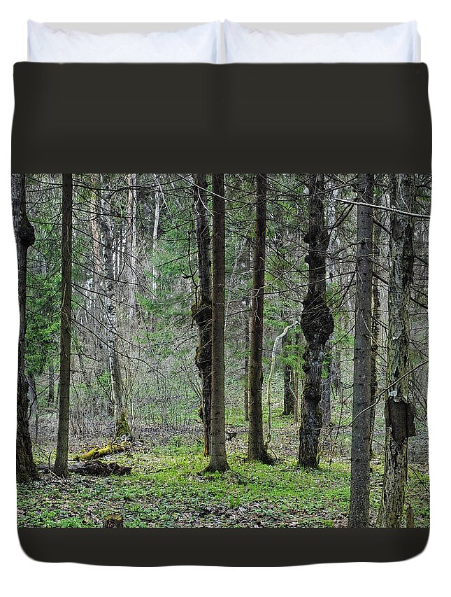 Wild Duvet Cover featuring the photograph Wild Spring Forest by Vadzim Kandratsenkau