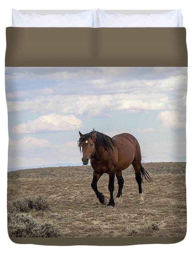 Stallion Duvet Cover featuring the photograph Wild Stallion by Ronnie And Frances Howard