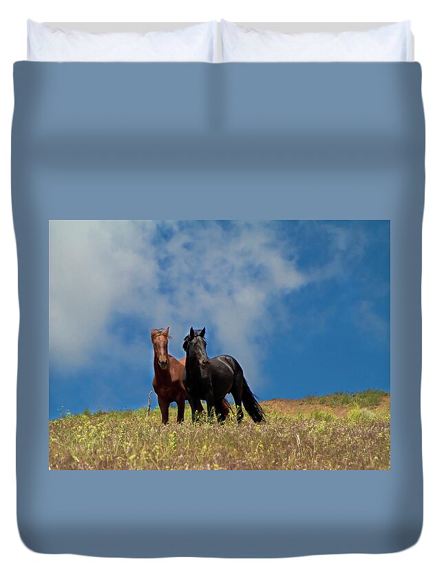 Horses Duvet Cover featuring the photograph Wild Stallions together by Waterdancer