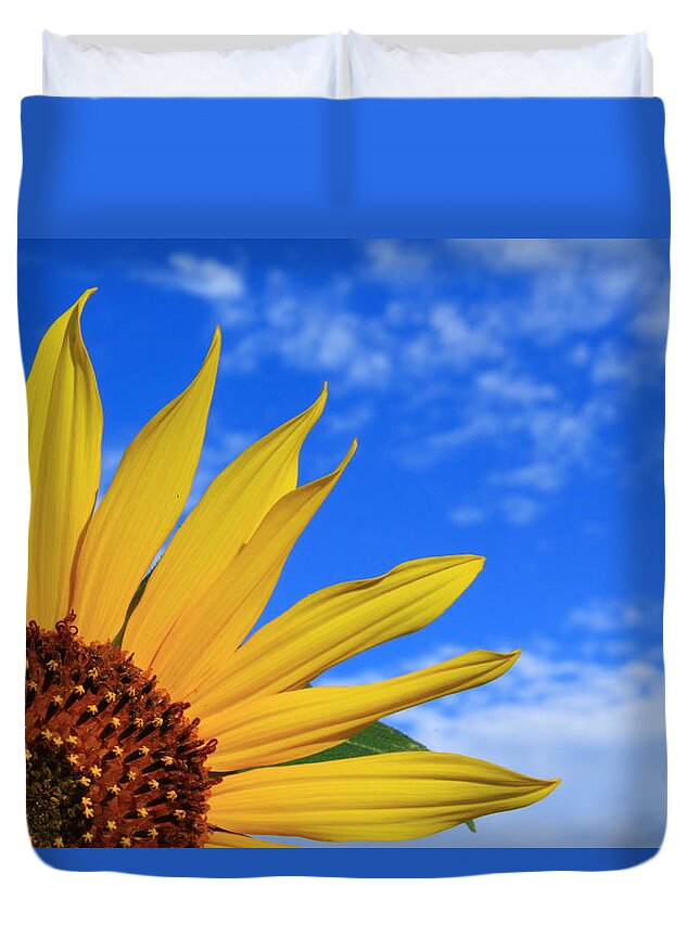 Wild Sunflower Duvet Cover featuring the photograph Wild Sunflower by Shane Bechler