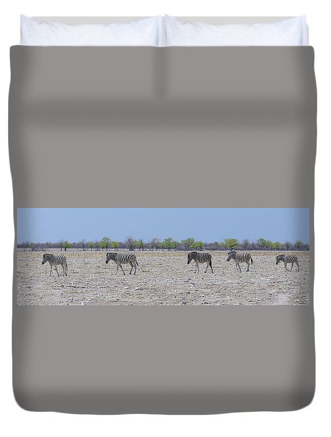 Zebra Duvet Cover featuring the photograph Wild Zebra Panoramic by Ernest Echols