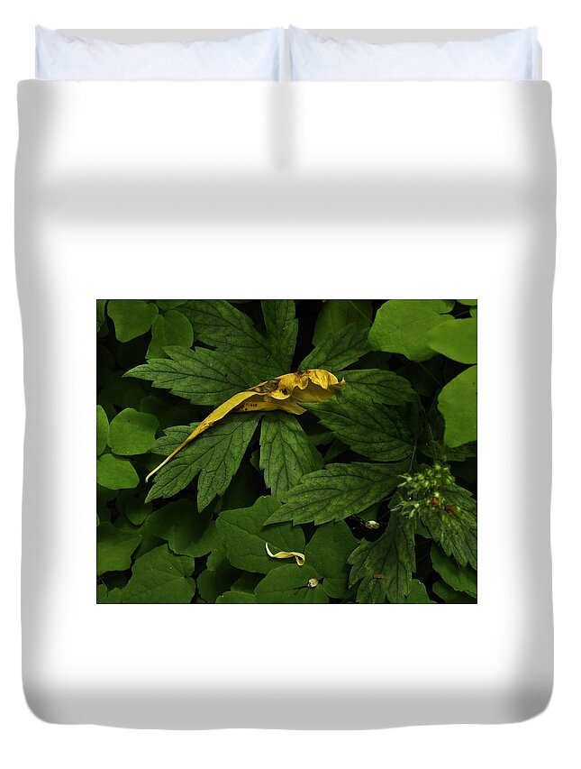 Nature Duvet Cover featuring the photograph Wilderness Accents by Charles Lucas