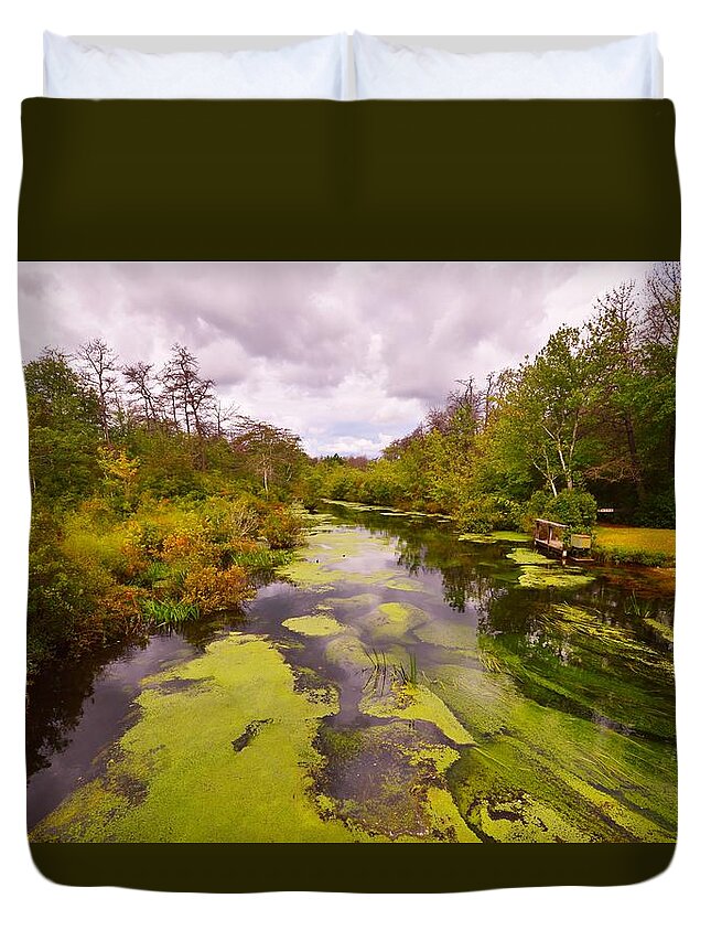 Featured Duvet Cover featuring the photograph Wilderness Creek in the Autumn Woods by Stacie Siemsen