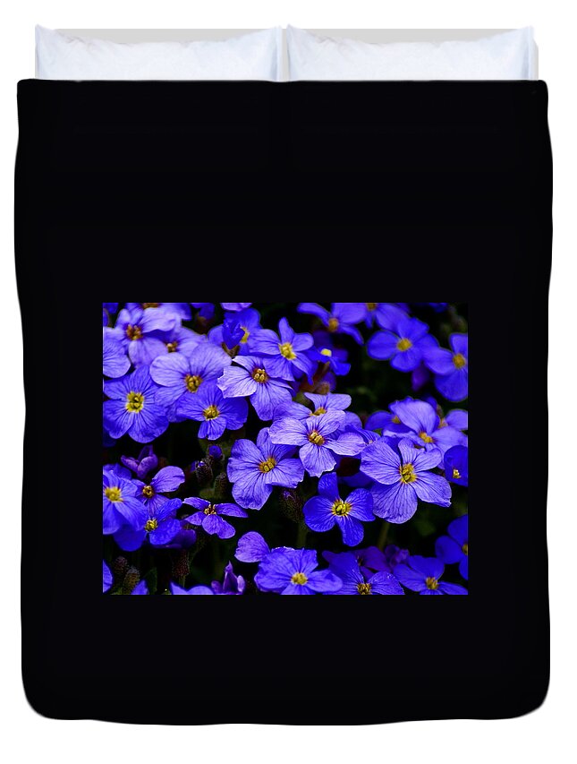 Flowers Duvet Cover featuring the photograph Wildflower Blues by Ben Upham III