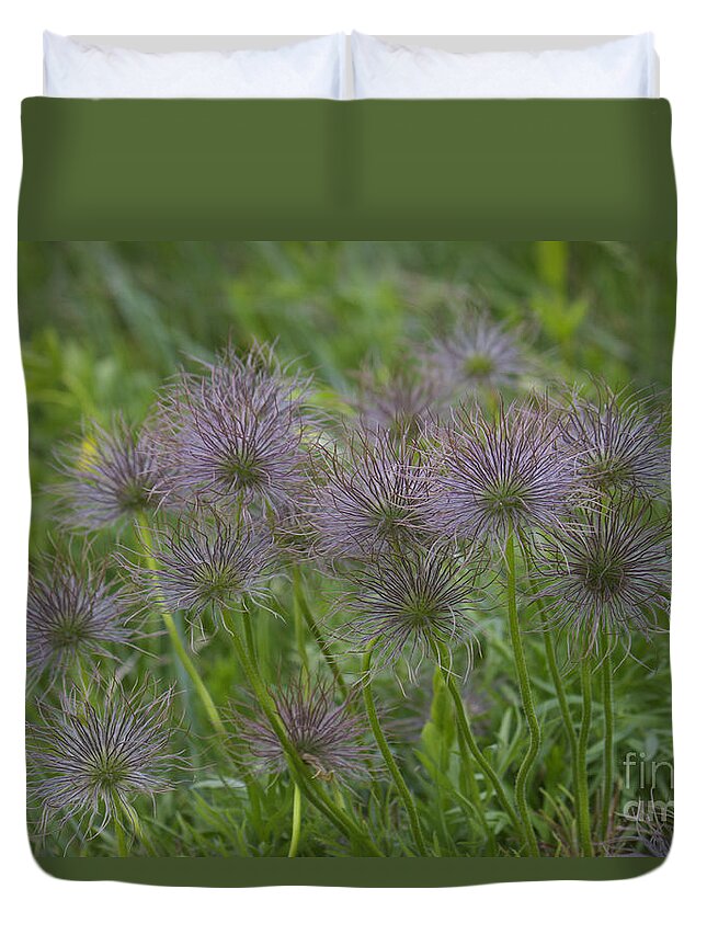 Panorama Hill Bluffs Duvet Cover featuring the photograph Wildflowers by Donna L Munro