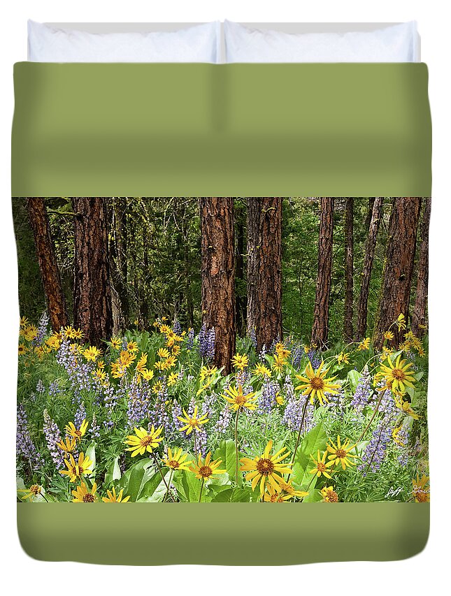 Arrowleaf Balsamroot Duvet Cover featuring the photograph Balsamroot and Lupine in a Ponderosa Pine Forest by Jeff Goulden
