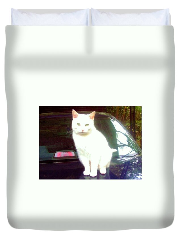 Cat Duvet Cover featuring the photograph Will Wash Car For Treats by Denise F Fulmer