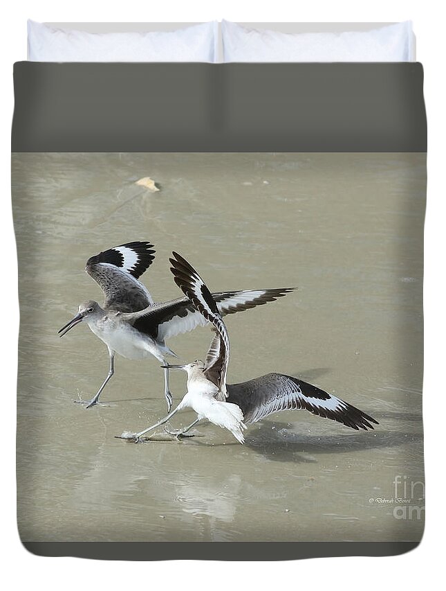Wildlife Duvet Cover featuring the photograph Willets at the Beach by Deborah Benoit