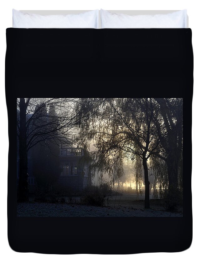 Fog Duvet Cover featuring the photograph Willow in Fog by Tim Nyberg