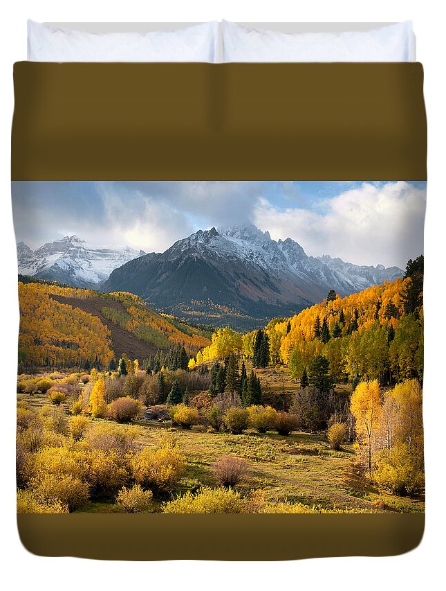Colorado Duvet Cover featuring the photograph Willow Swamp by Steve Stuller