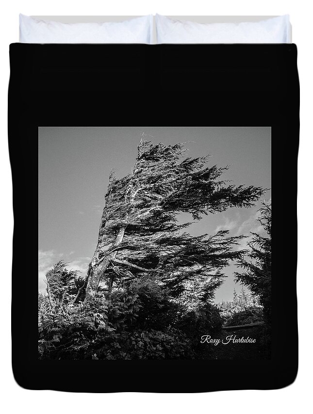 Tree Duvet Cover featuring the photograph Wind Shaped Tree by Roxy Hurtubise