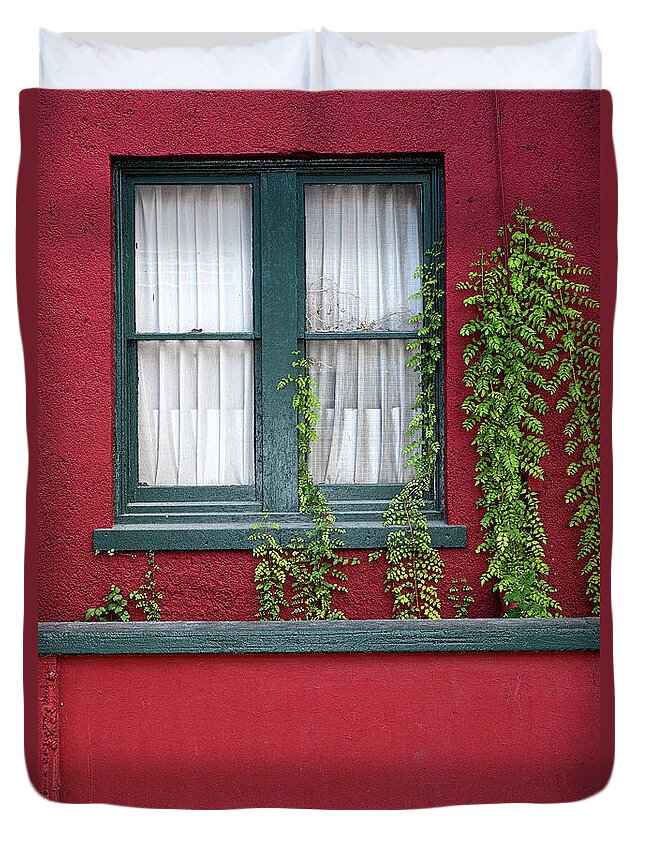 Window Duvet Cover featuring the photograph Window and VInes by Christopher Holmes