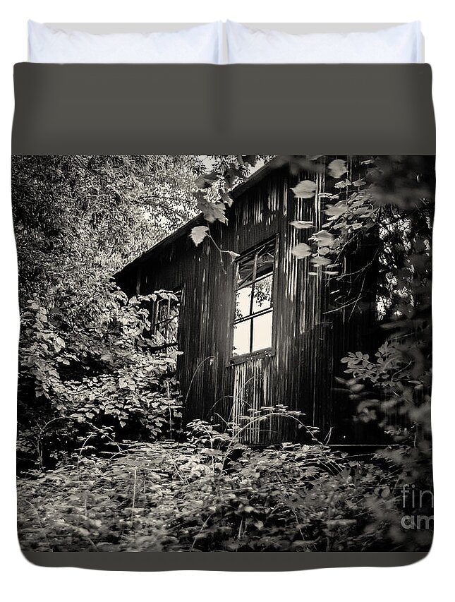 Ludington Michigan Duvet Cover featuring the photograph Window in the Woods by Randall Cogle