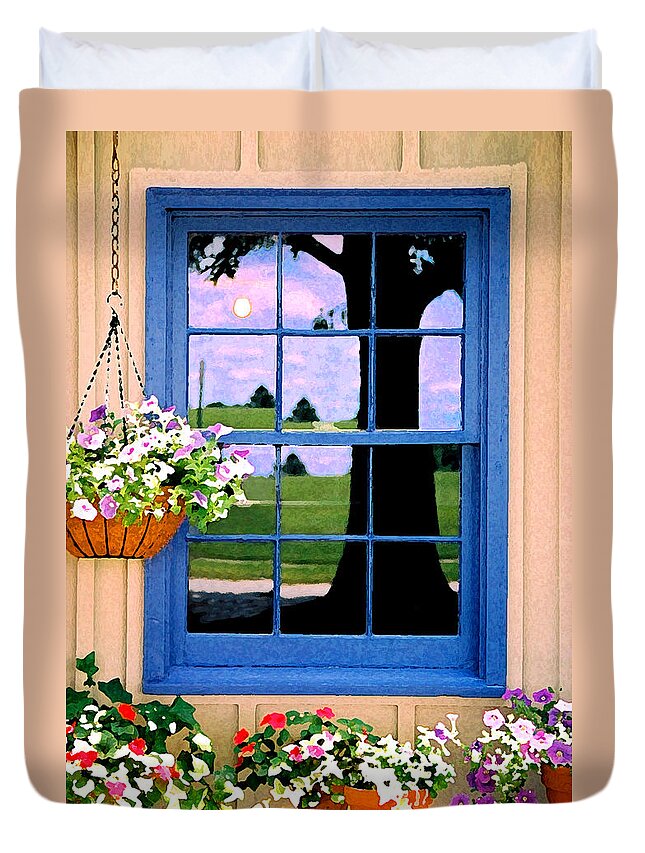 Still Life Duvet Cover featuring the photograph Window by Steve Karol