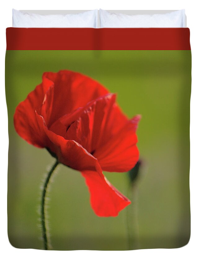 Windswept Duvet Cover featuring the photograph Windswept Poppy by Adrian Wale