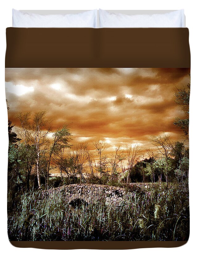 Moody Landscape Duvet Cover featuring the digital art Windy and Moody by Lilia S